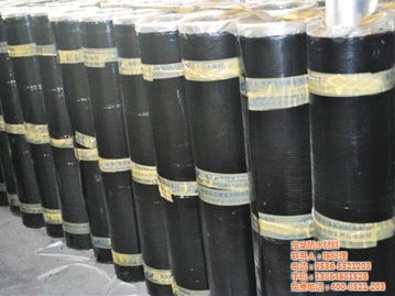 sbs防水卷材優(yōu)點 十堰sbs防水卷材 寶龍防水材料